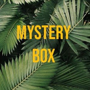 Mystery Box of Items